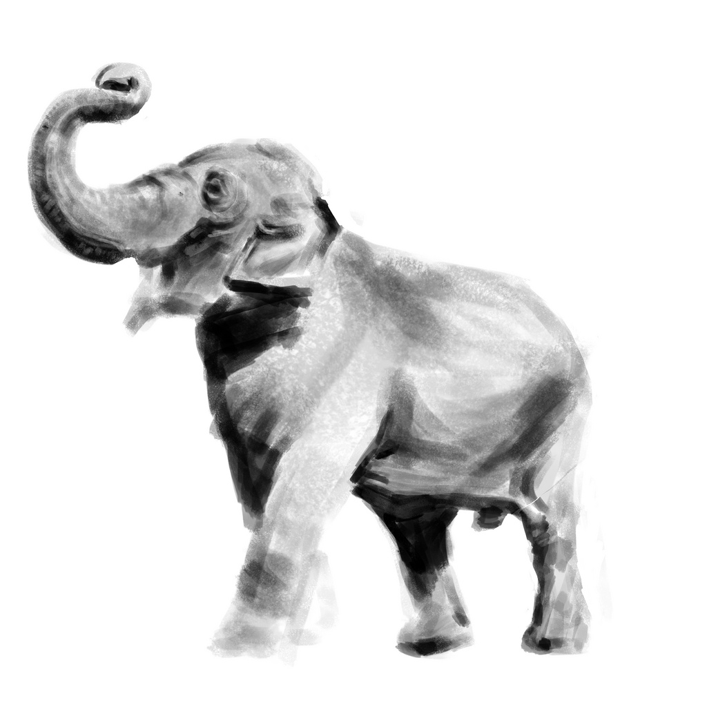 1024x1024 Asian Elephant Sketch Wip Jason - Asian Elephant Sketch