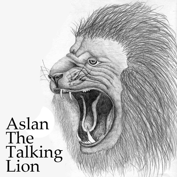 753x753 Aslan The Talking Lion - Aslan Sketch