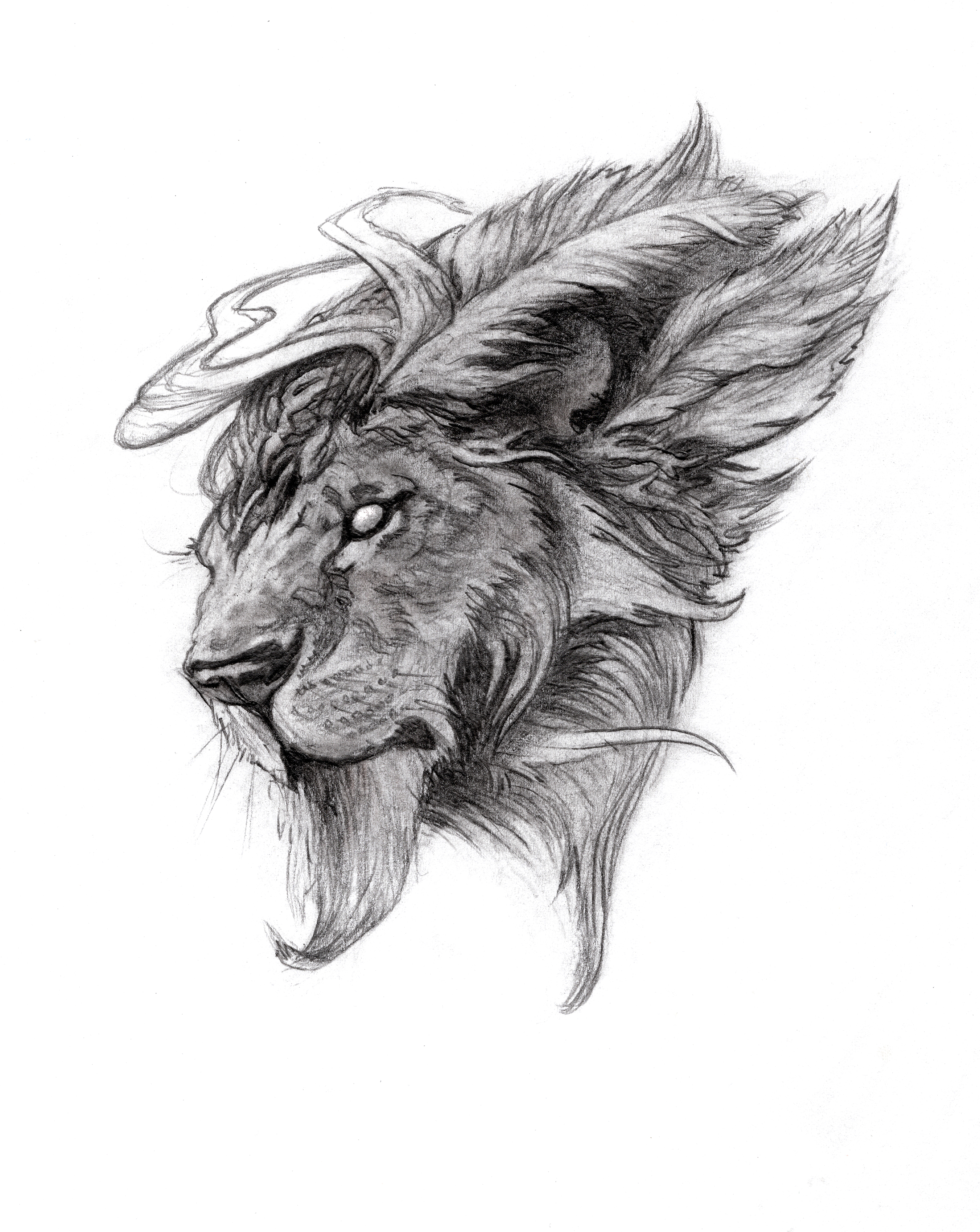 2200x2767 Aslan Occhi Visual Art Online Store Powered By Storenvy - Aslan Sketch