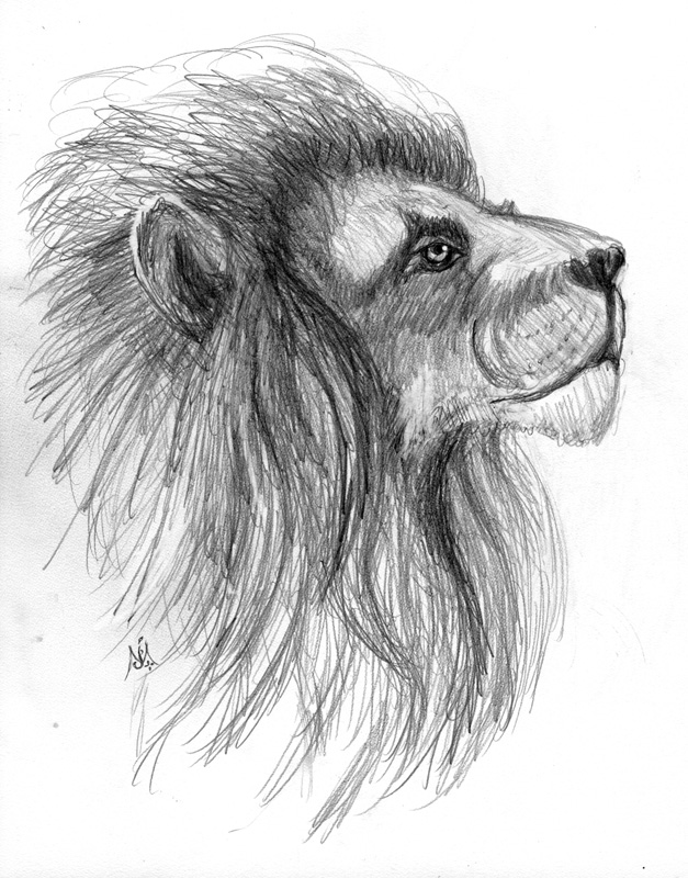 627x800 Aslan Jef Murray Studios - Aslan Sketch