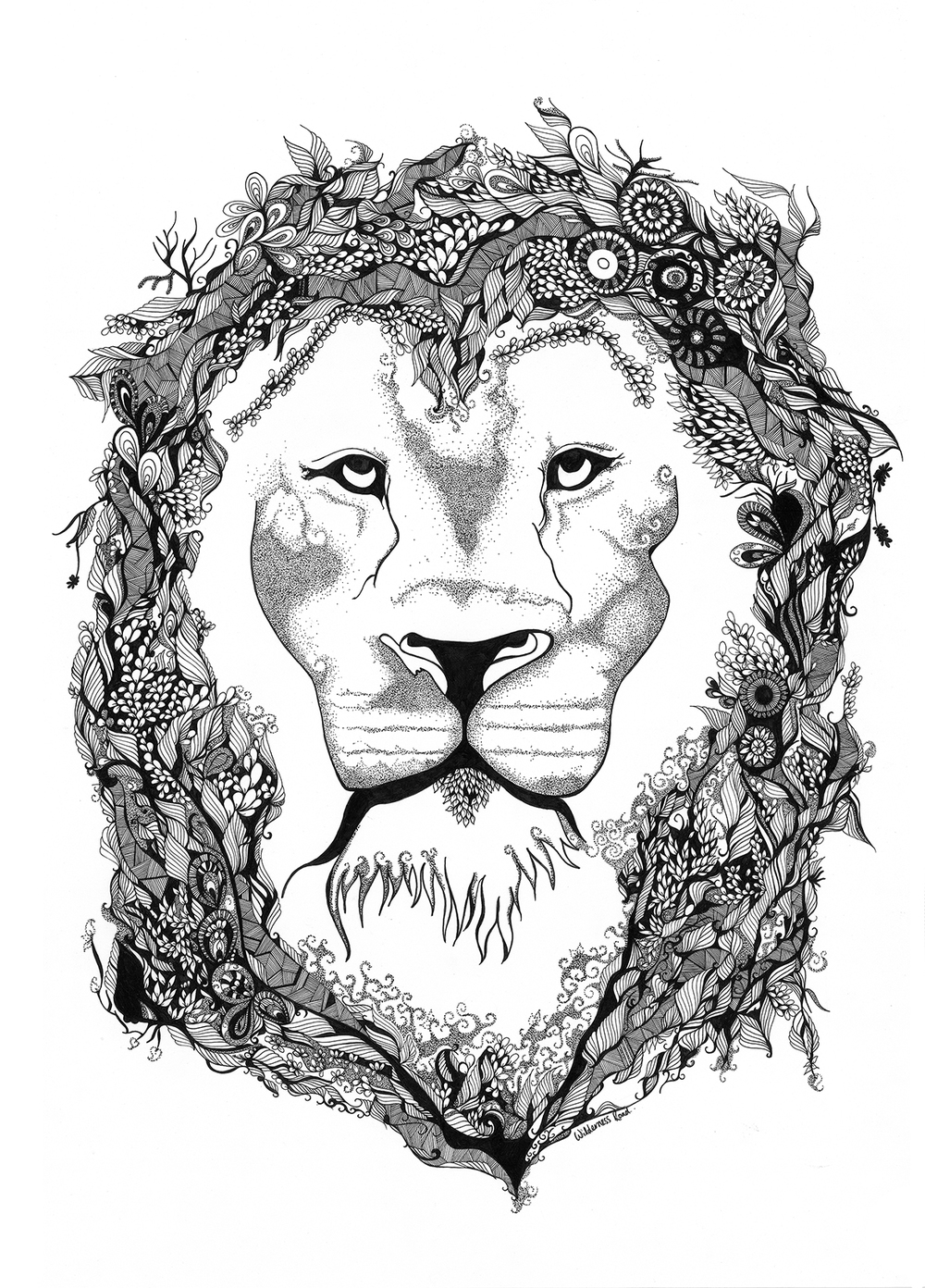 1000x1392 Aslan Wilderness Road - Aslan Sketch