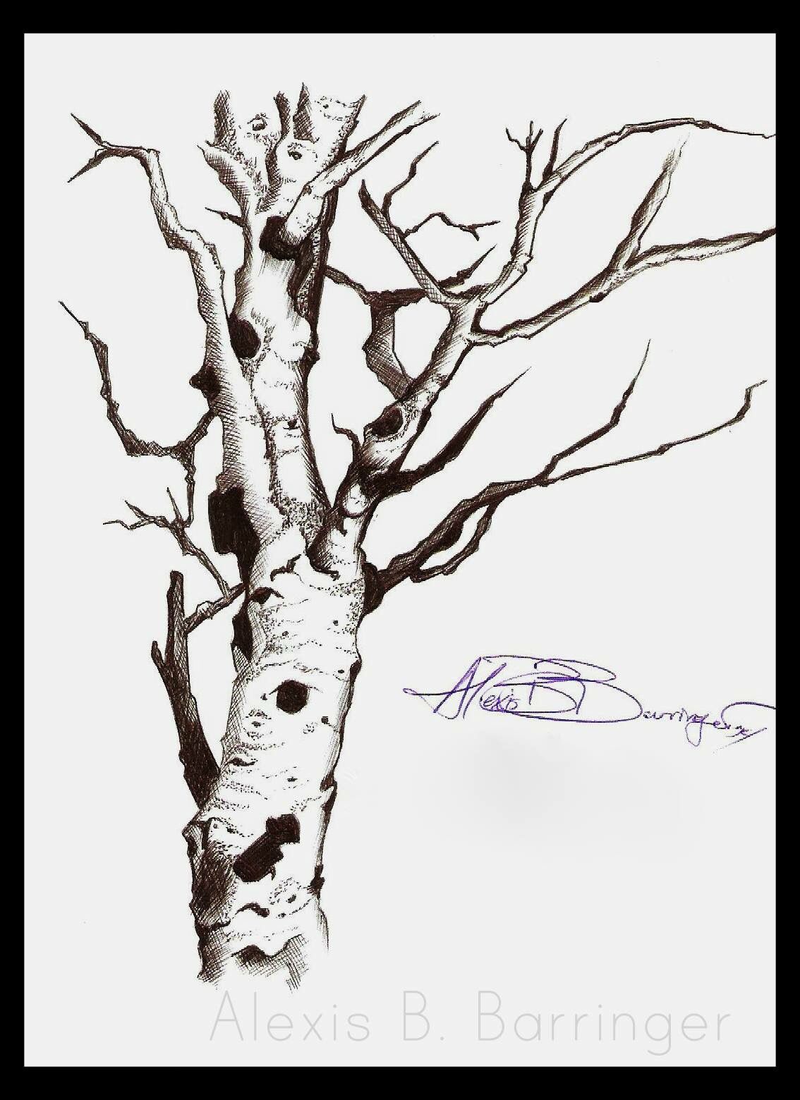 Aspen Sketch at PaintingValley.com | Explore collection of Aspen Sketch