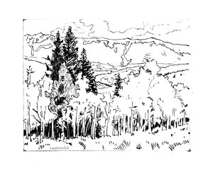 300x240 Aspen Drawings Fine Art America - Aspen Sketch