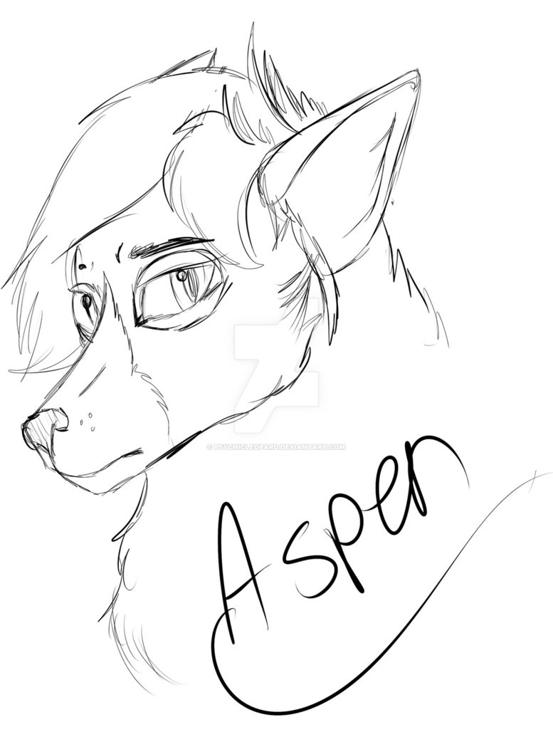 777x1028 Aspen Sketch By Psychicleopard - Aspen Sketch