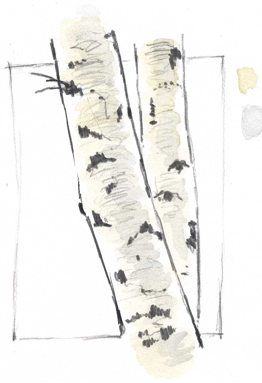 1010x1475 How To Draw Aspen And Steal Like An Artist - Aspen Tree Sketch