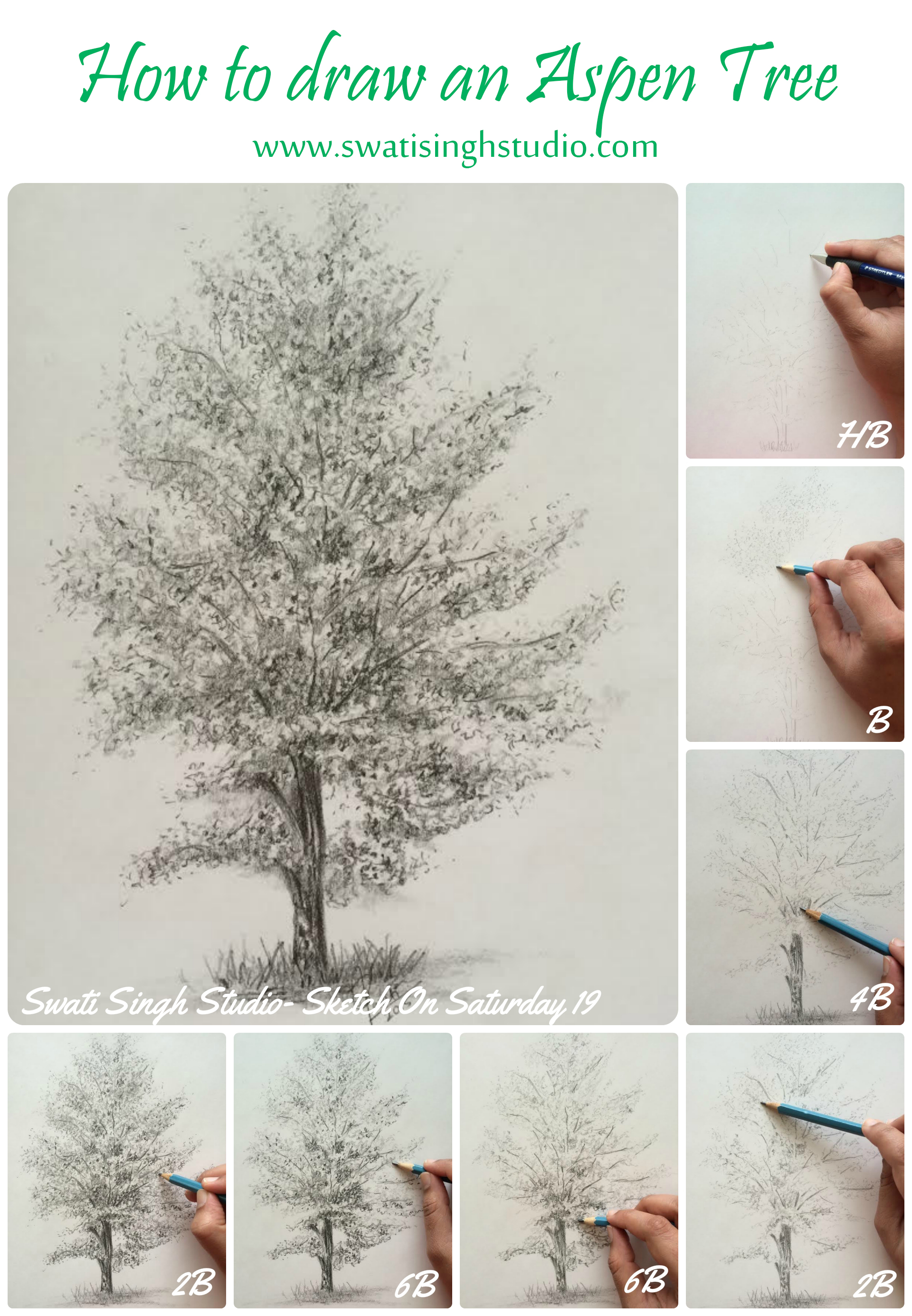 1920x2769 Swati Singh Art Blog - Aspen Tree Sketch