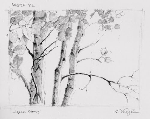 500x396 V....vaughan Arts Aspen Stems Sketch, Trees, Lesson, - Aspen Tree Sketch