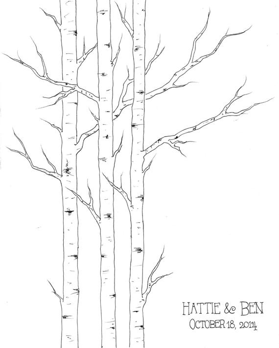 Aspen Tree Sketch at Explore collection of Aspen