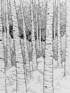 228x300 Aspen Tree Drawings Fine Art America - Aspen Tree Sketch