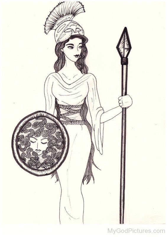 565x800 Sketch Of Athena - Athena Sketch