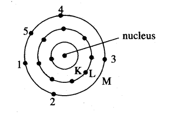 348x230 I) Write The Postulates Of Bohr Model Of Atom. (Ii) Draw A Sketch - Atom Sketch
