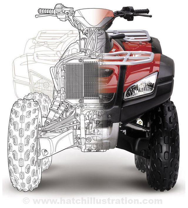 640x708 Idea To Try Photo Fade To Line Drawings. Honda Atv Technical - Atv Sketch