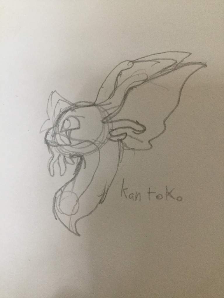 768x1024 Aurora Dragon Sketch Dragonvale Amino - Aurora Sketch