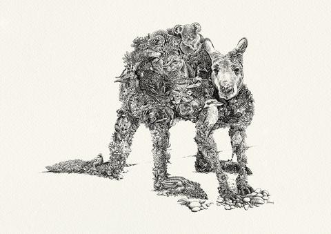 480x339 Australian Wildlife Collection Marini Ferlazzo - Australia Sketch