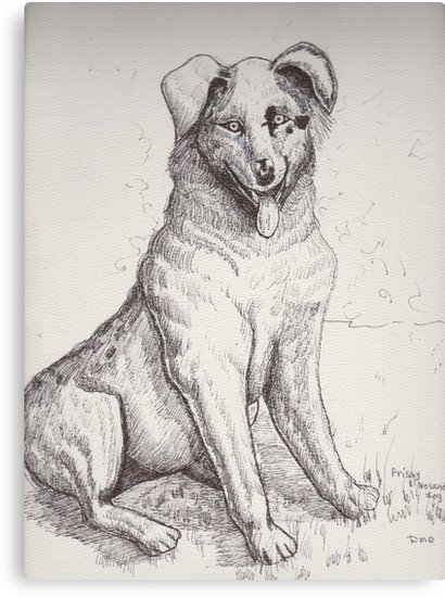 410x550 Australian Shepherd Dog Canvas Prints By Dorcas13 Redbubble - Australian Shepherd Sketch