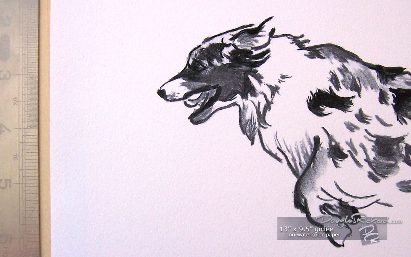 1600x1000 Australian Shepherd Drawing - Australian Shepherd Sketch