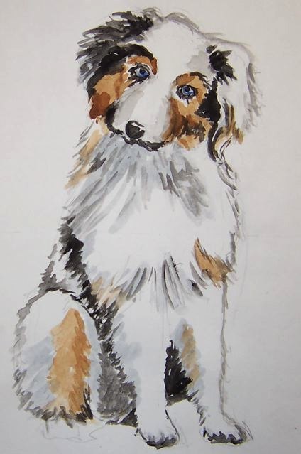 424x639 Australian Shepherd Clear Mountain Designs - Australian Shepherd Sketch