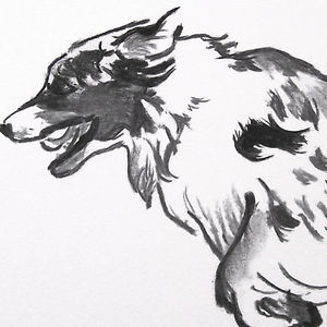 300x300 Energetic Australian Shepherd Aussie Dog Drawing Art Print Ebay - Australian Shepherd Sketch