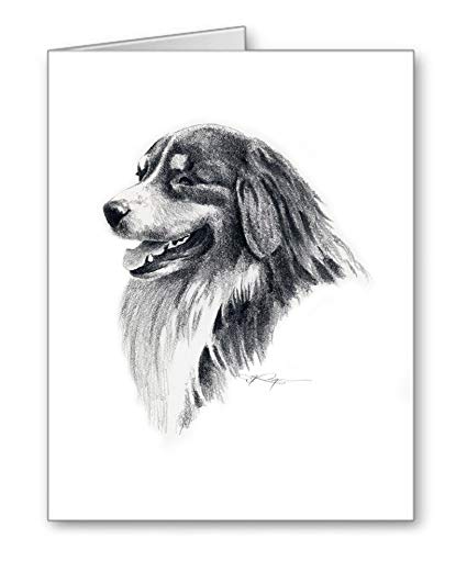 425x521 Australian Shepherd - Australian Shepherd Sketch