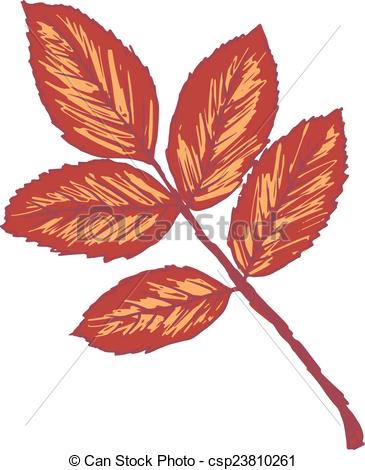 365x470 Autumn Leaf. Hand Drawn, Sketch, Cartoon Illustration Of Leaf. - Autumn Leaf Sketch