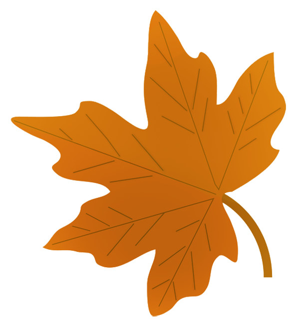 595x650 Drawn Foliage Autumn Leaf - Autumn Leaf Sketch