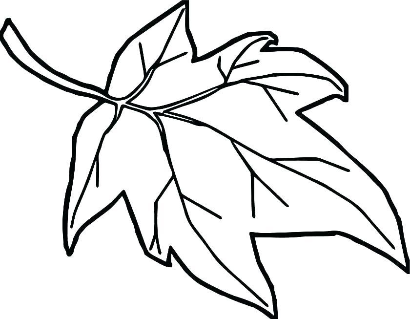 840x653 Fall Leaf Color Pages Zoshwiki.co - Autumn Leaf Sketch