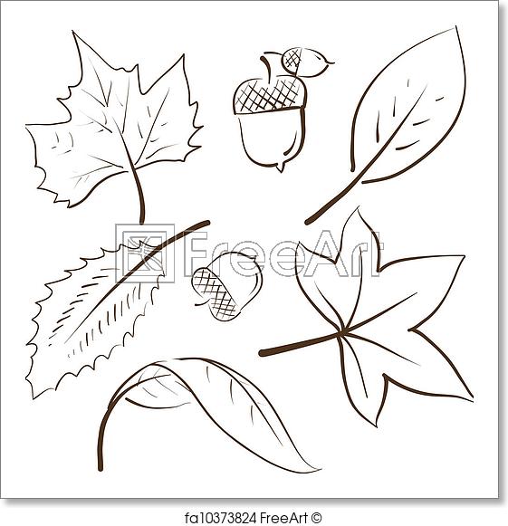 561x581 Free Art Print Of Autumn Leaves Sketch. Doodle Style Autumn Vector - Autumn Leaf Sketch