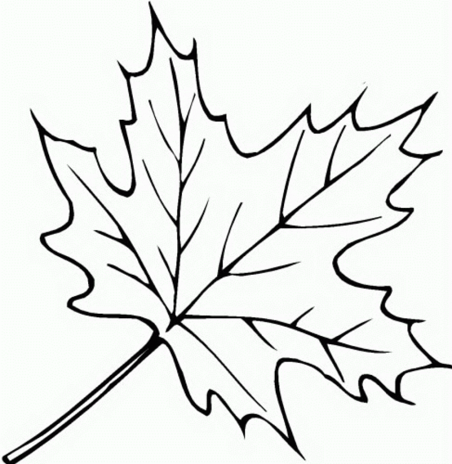 918x942 Maple Leaf Coloring - Autumn Leaf Sketch