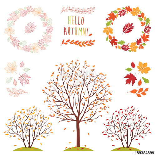 500x500 A Big Set Of Images Of Leaves Of Different Trees. Wreath Of Autumn - Autumn Leaf Sketch