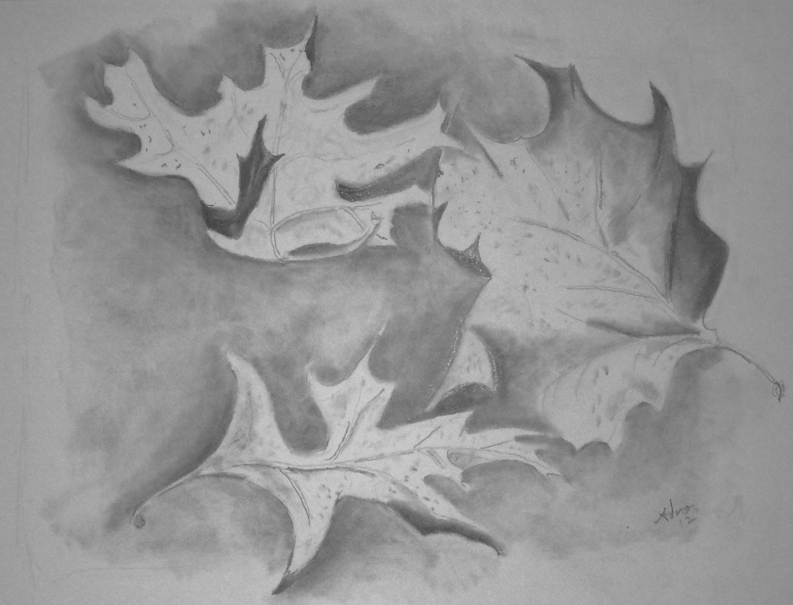 1600x1221 Artist Adron Autumn Leaves Drawing In Pencil And Charcoal - Autumn Leaf Sketch