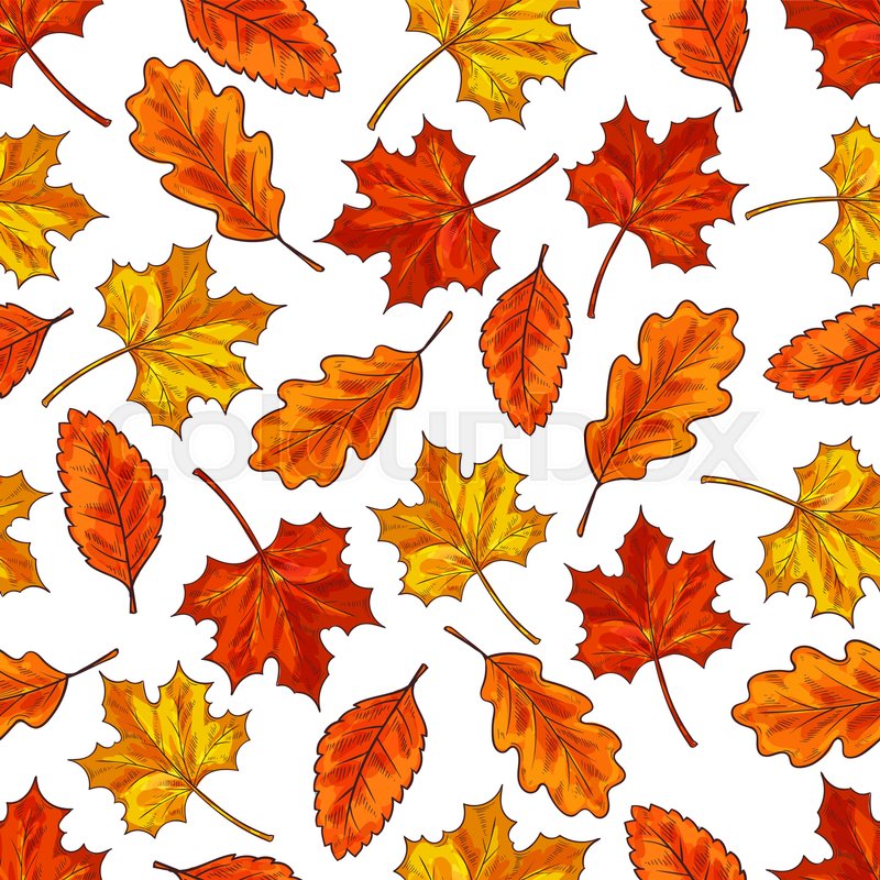 800x800 Autumn Leaf Seamless Pattern Background. Orange Fallen Leaves Of - Autumn Leaves Sketch