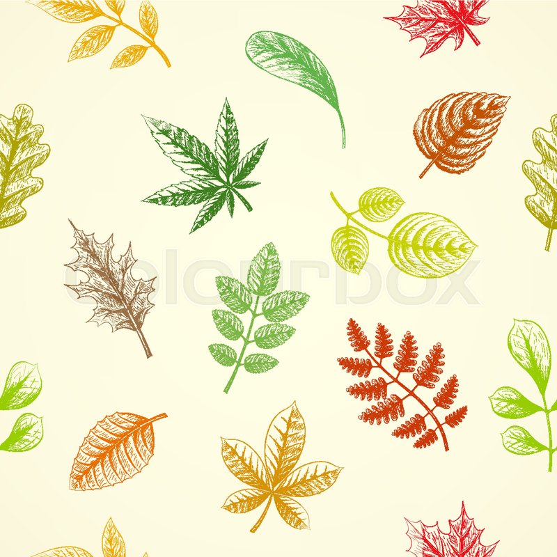 800x800 Collection Colorful Autumn Leaves. Seamless Pattern. Hand Drawn - Autumn Leaves Sketch
