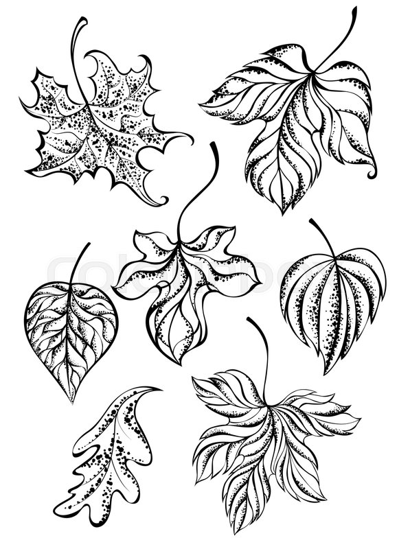 581x800 Set Of Painted Art, Contour, Autumn Leaves On A White Background - Autumn Leaves Sketch