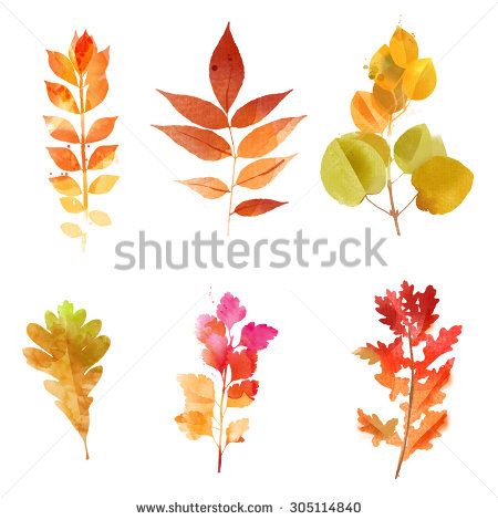 450x470 Watercolor Set Of Autumn Leaves Nado Poprobovat - Autumn Leaves Sketch