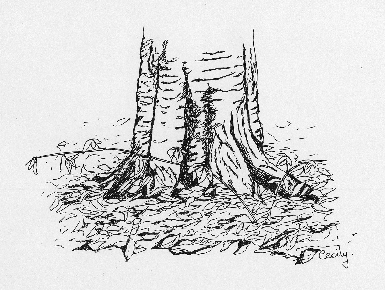 1341x1009 Autumn In Black Ink Butterflyhands - Autumn Sketch