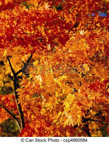 359x470 Autumn Sketch. - Autumn Sketch