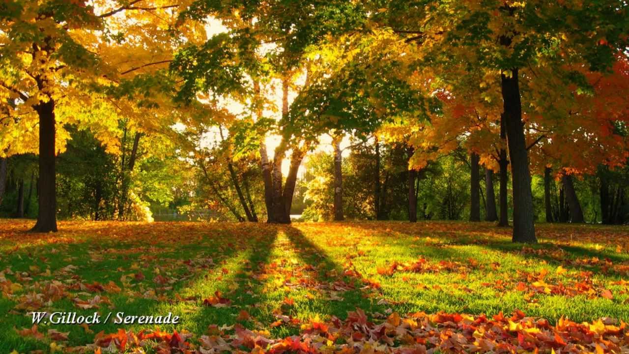 1280x720 Gillock - Autumn Sketch