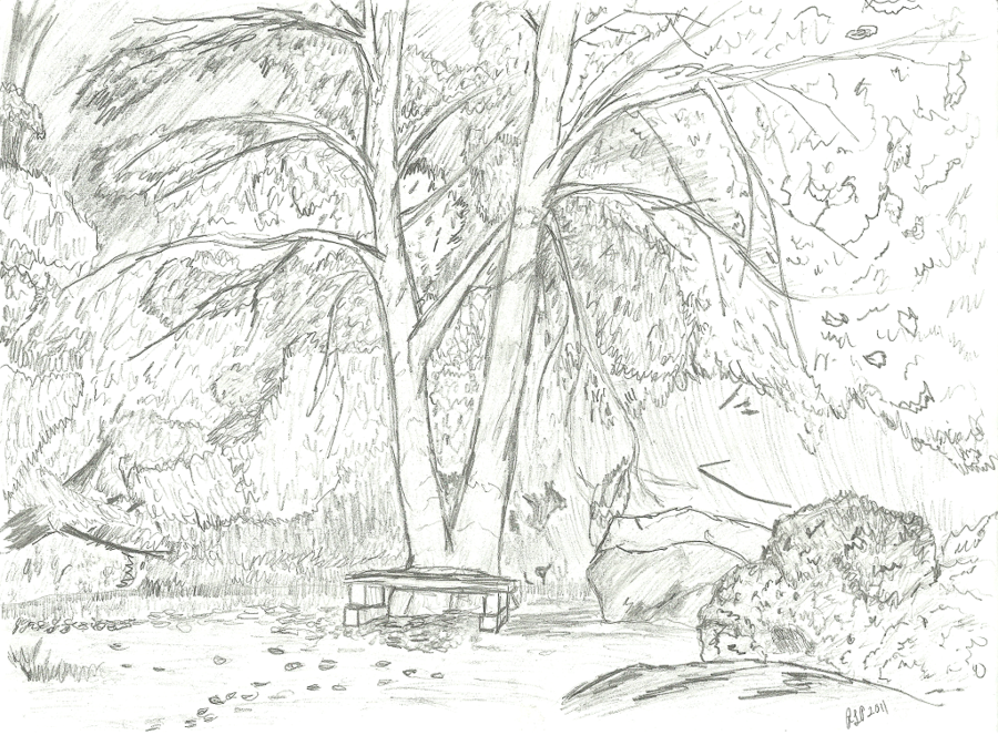 900x663 Stone Bench In Autumn Sketch By Draakoraith - Autumn Sketch