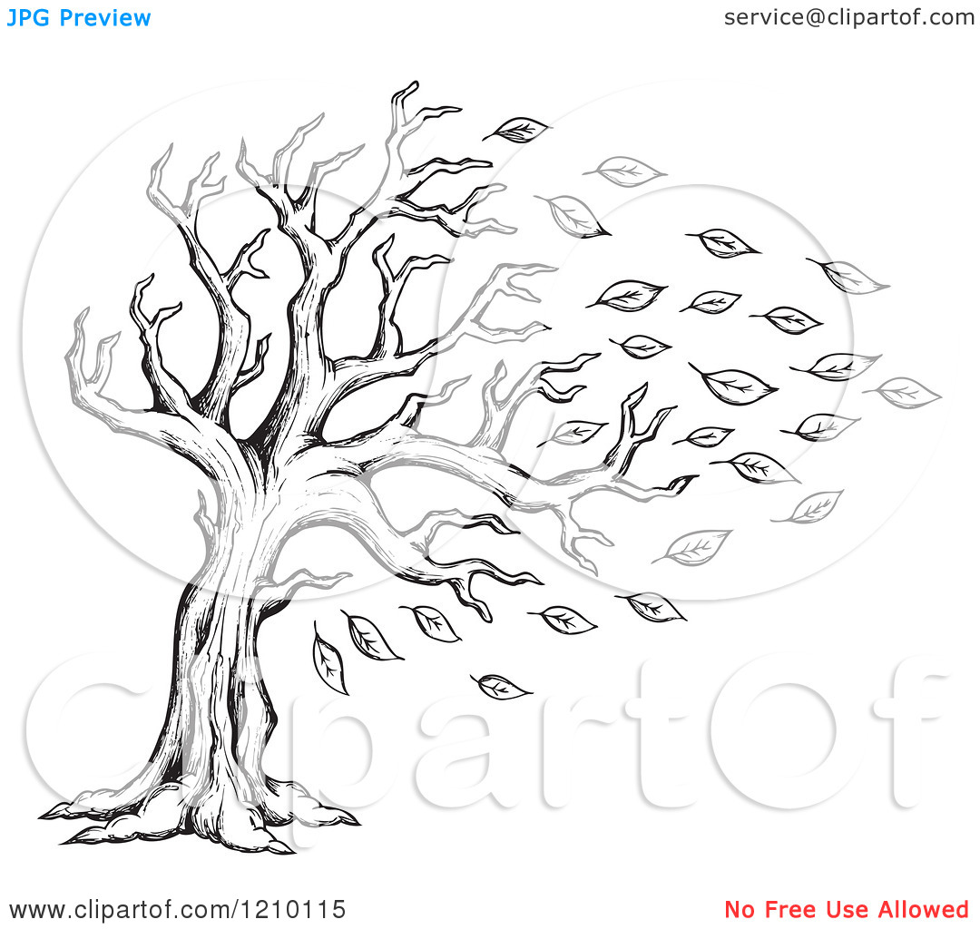 1080x1024 Autumn Tree Sketch Clipart - Autumn Tree Sketch