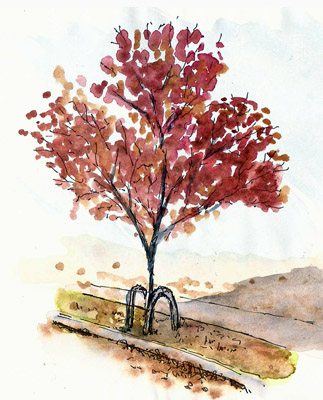 323x400 A Token Autumn Tree Sketch Larry D. Marshall - Autumn Tree Sketch