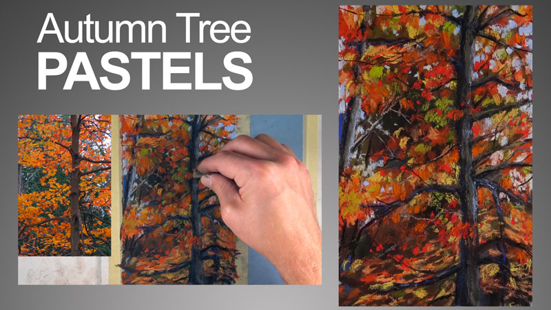 800x450 Pastel Sketch - Autumn Tree Sketch