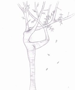 250x300 Autumn Tree Drawings - Autumn Tree Sketch