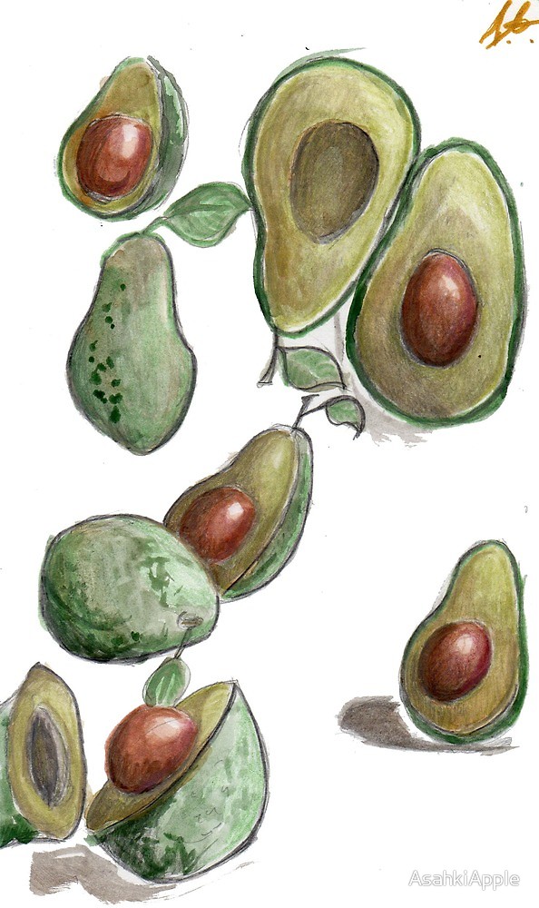 594x1000 Avocado Sketch By Asahkiapple Redbubble - Avocado Sketch