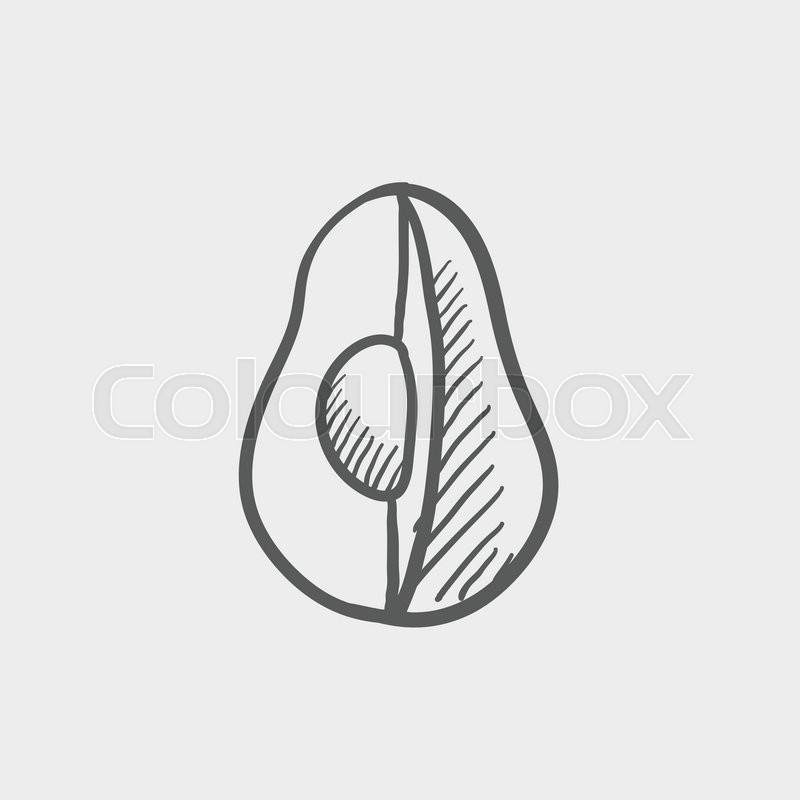 800x800 Avocado Sketch Icon For Web And Mobile. Hand Drawn Vector Dark - Avocado Sketch