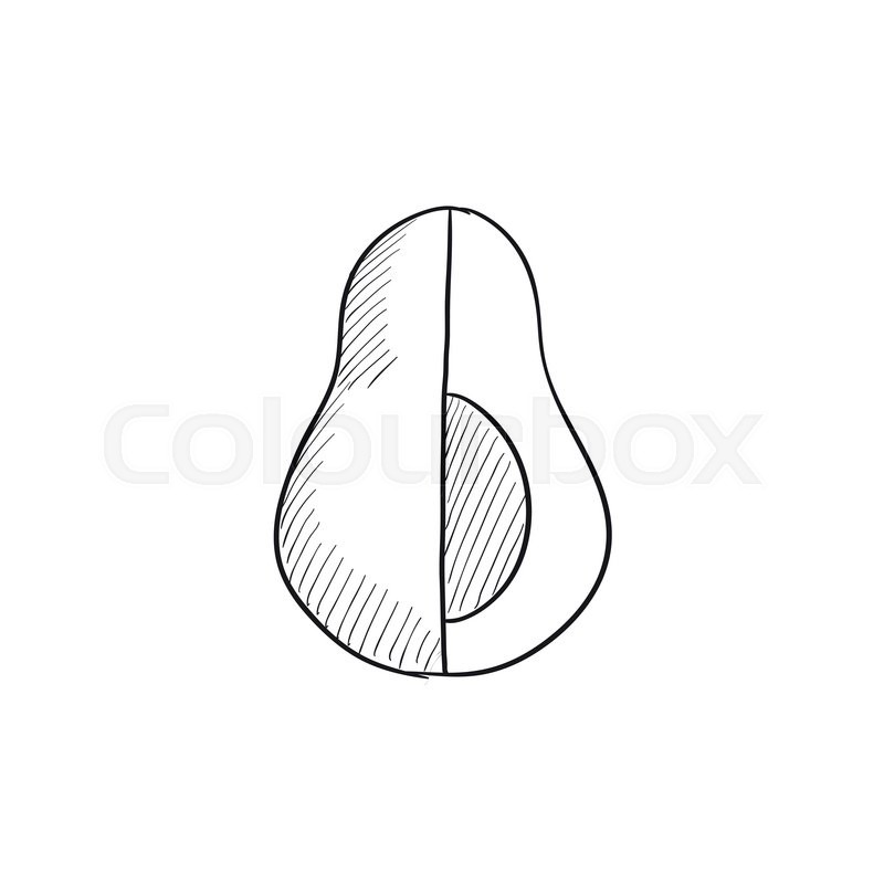 800x800 Avocado Vector Sketch Icon Isolated On Background. Hand Drawn - Avocado Sketch