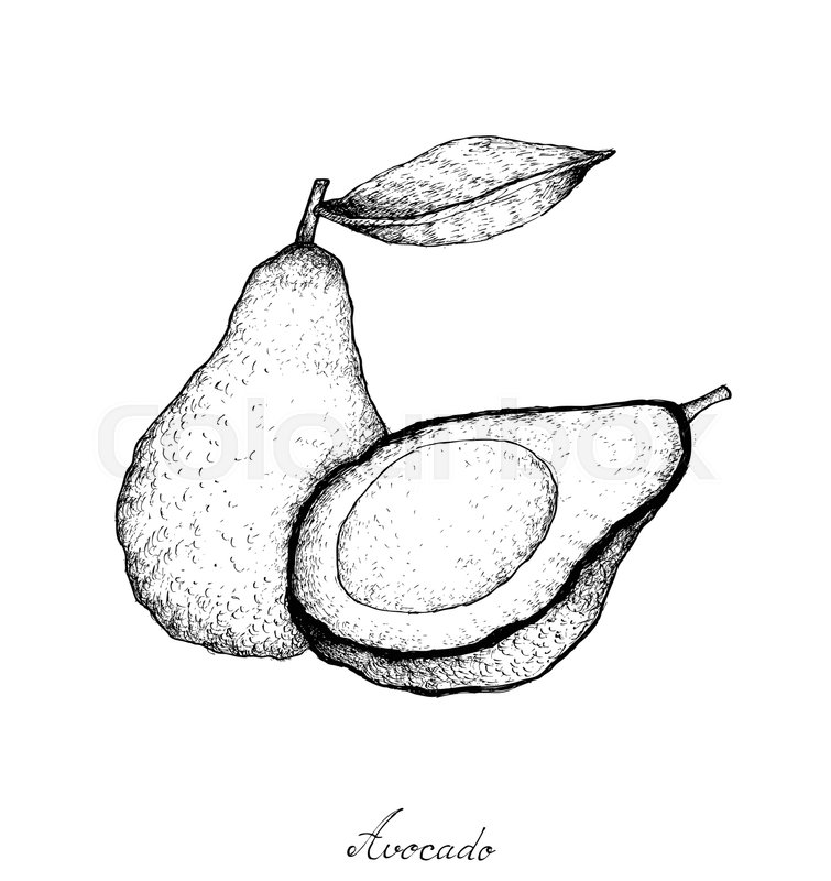 755x800 Vegetable Salad, Illustration Of Hand Drawn Sketch Delicious Fresh - Avocado Sketch