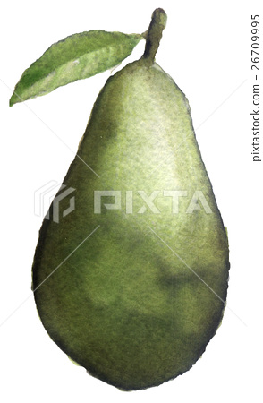 294x450 Watercolor Sketch Of An Avocado On A White - Avocado Sketch