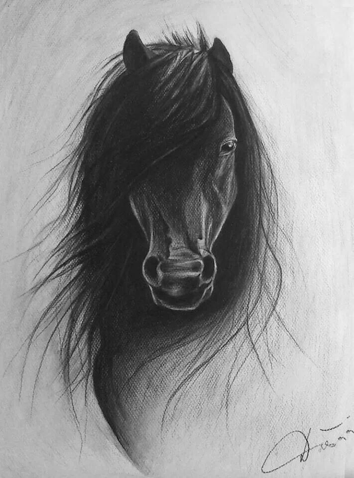 711x960 Awesome Sketch. Horses Lt3 Sketches, Draw And Art - Awesome Sketches