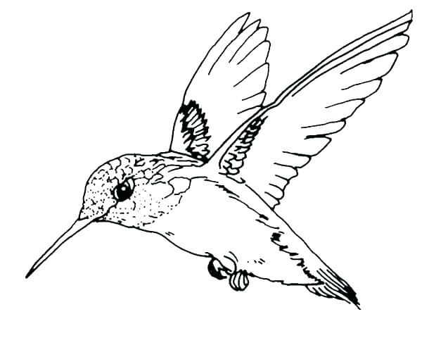 600x480 Collection Of Ax Coloring Pages Download Them And Try To Solve - Ax Sketch