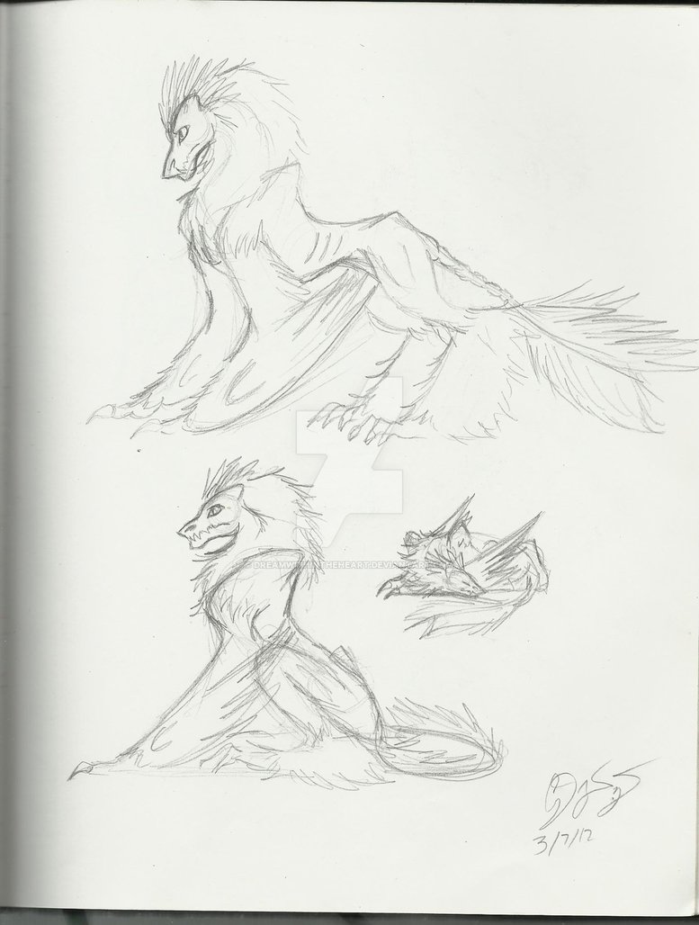 777x1028 Aztec Gryfin Sketches By Dreamwithintheheart - Aztec Sketches
